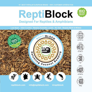 Hatchling (Coconut Bedding)