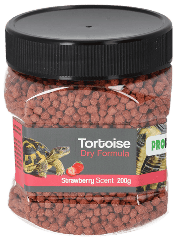 Tortoise Foods