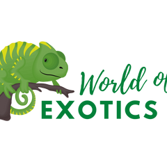 Collection image for: World of Exotics