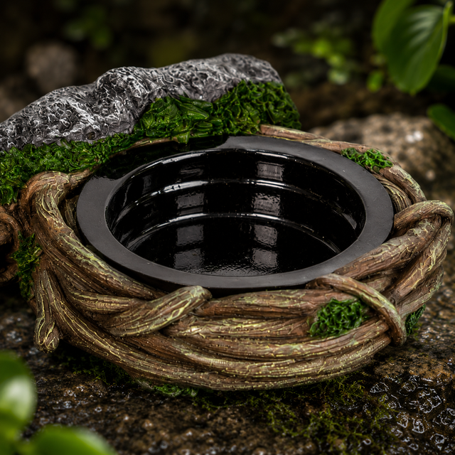 Feeding Accessories