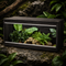Vivariums