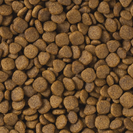 Tropifit Premium Ferret 400g