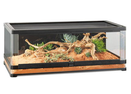 Exo Terra Vista Panoramic Terrarium