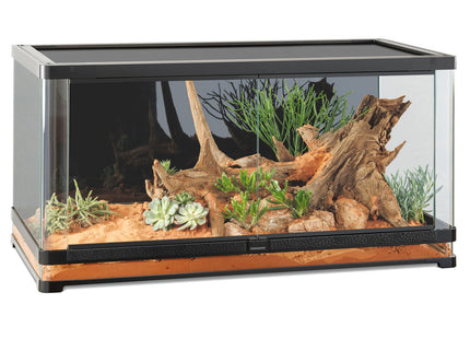 Exo Terra Vista Panoramic Terrarium