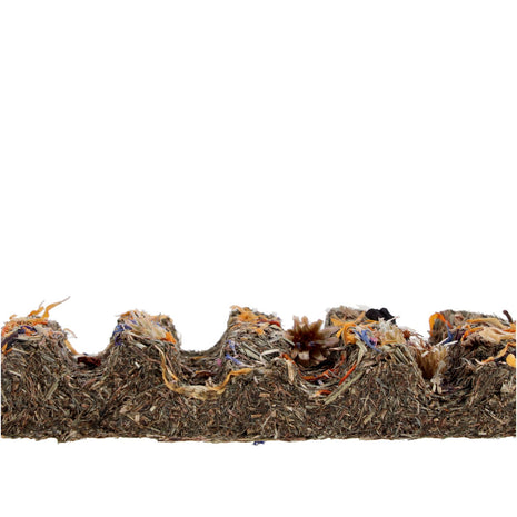 Prorep Tortoise Foraging Bar Flower 45g