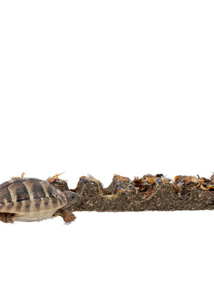 Prorep Tortoise Foraging Bar Flower 45g