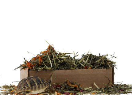 Prorep Tortoise Flower Foraging Tray 70g