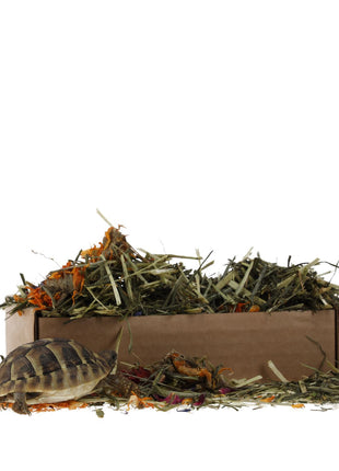 Prorep Tortoise Flower Foraging Tray 70g