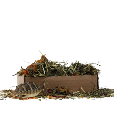 Prorep Tortoise Flower Foraging Tray 70g