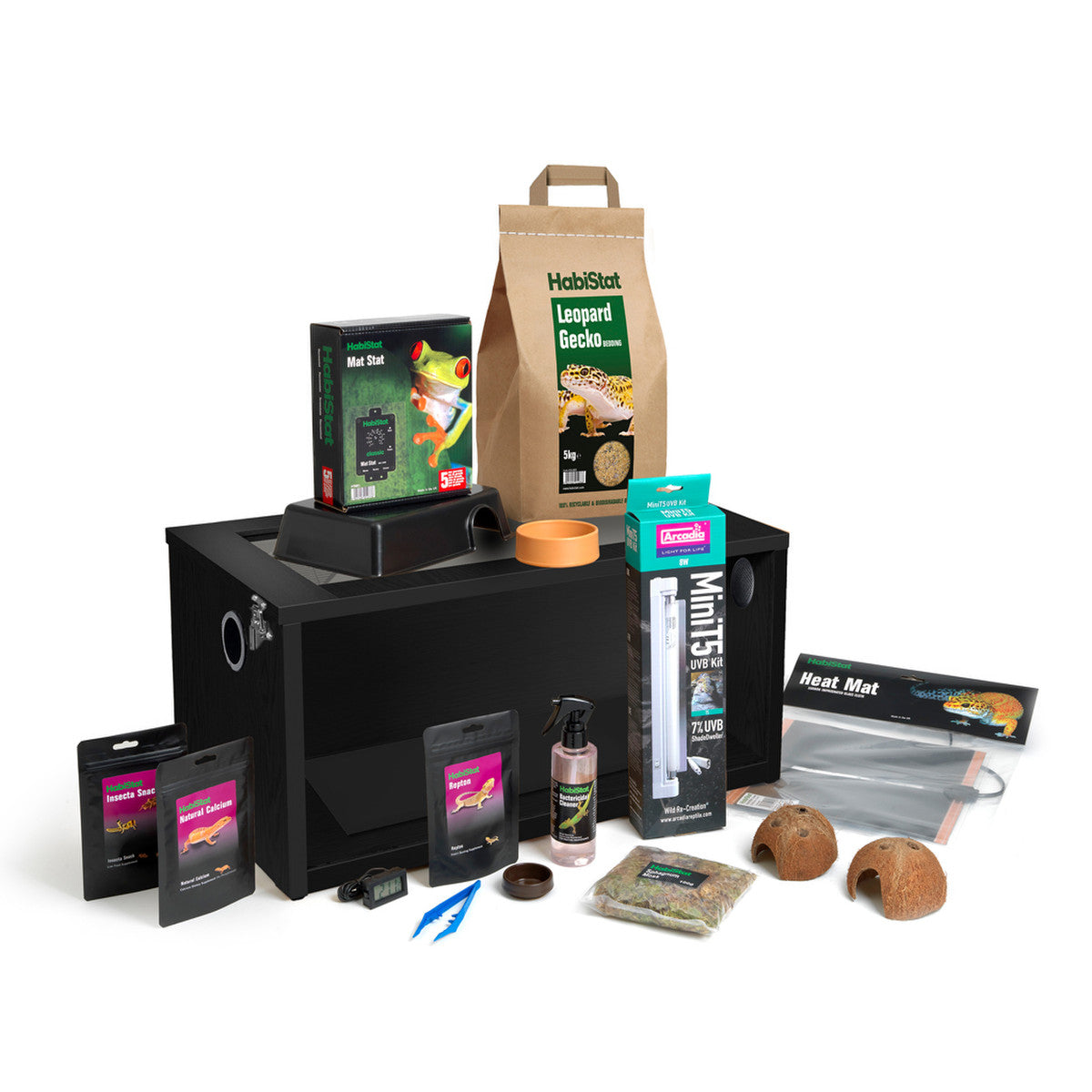 Leopard Gecko - Starter Kit – World of Exotics