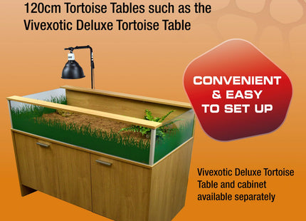 Exo Terra Tortoise Deluxe Vivarium Accessory Kit PT2895