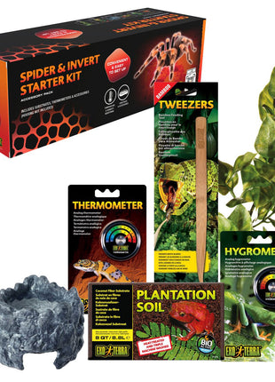 Exo Terra Spider & Invertebrate Terrarium Accessory Kit  PT2893