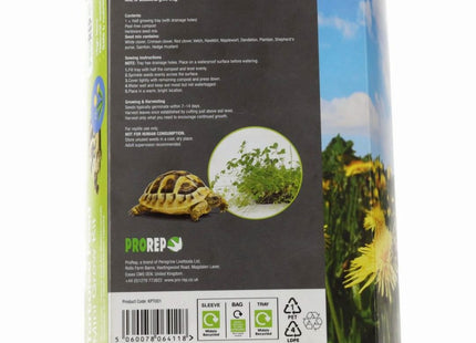 ProRep Tortoise Feed Mini Grow Kit