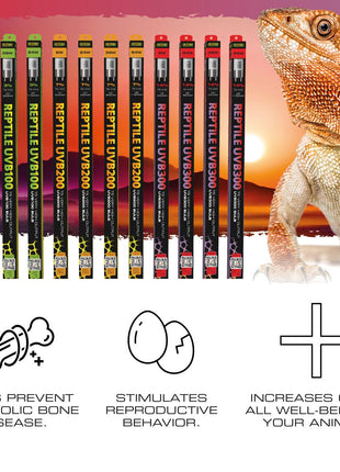 Exo Terra Reptile UVB300 T5 VHO