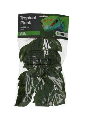 ProRep Silk Hanging Plant Weeping Fig
