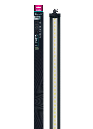 LumenIZE Jungle Dawn LED Bar
