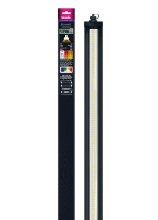 LumenIZE Jungle Dawn LED Bar