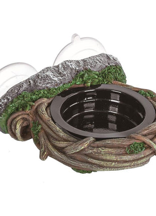 Reptizoo Arboreal Feeder Vine 10x10cm