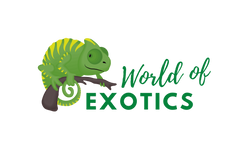 World of Exotics