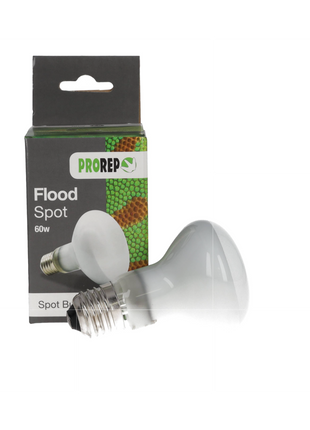 Basking Flood Lamp, ES Fitting