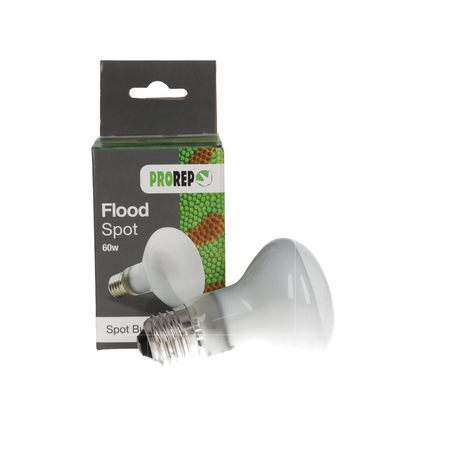 Basking Flood Lamp, ES Fitting