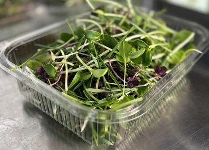 Microgreen Munch Mix - Tortoise