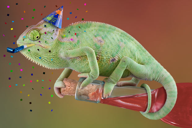 <h2>Reptile Parties</h2>