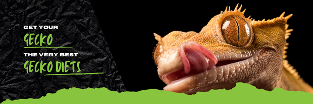Banner image for: 
