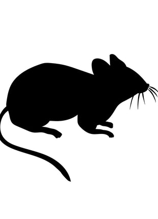 Frozen Mice