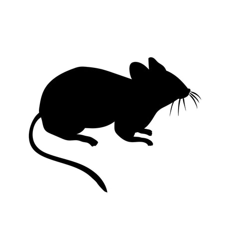 Frozen Mice