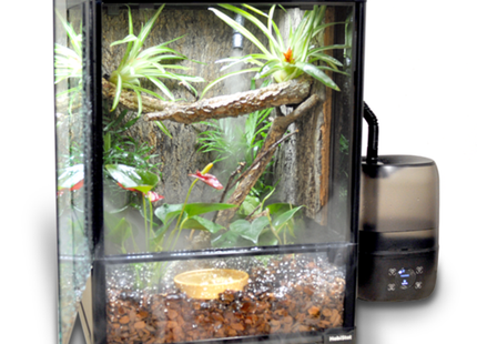 Glass Terrarium