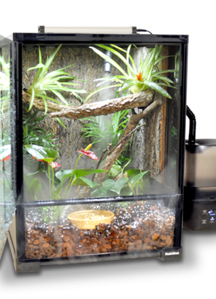 Glass Terrarium
