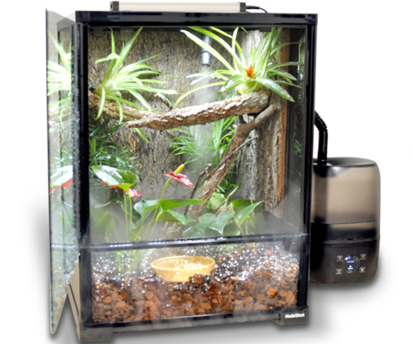 Glass Terrarium – World of Exotics