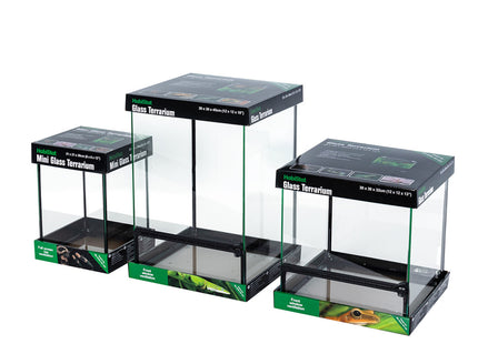 Glass Terrarium - Pre Built