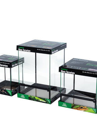 Glass Terrarium - Pre Built