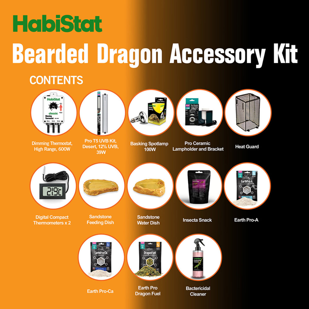 Bearded Dragon - Accessory Kit