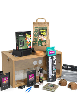 Leopard Gecko - Starter Kit