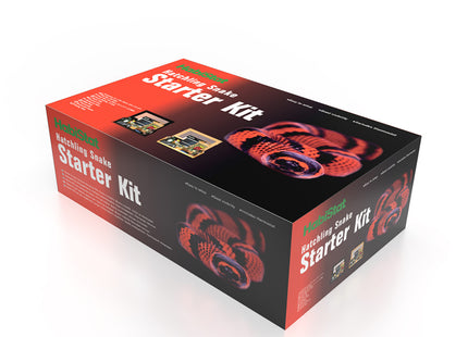 Hatchling Snake - Starter Kit