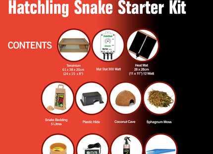 Hatchling Snake - Starter Kit