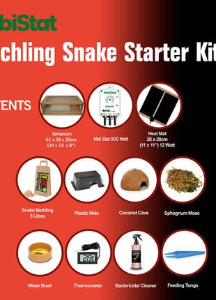 Hatchling Snake - Starter Kit