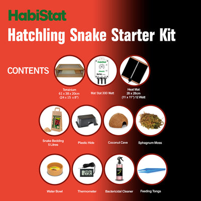 Hatchling Snake - Starter Kit