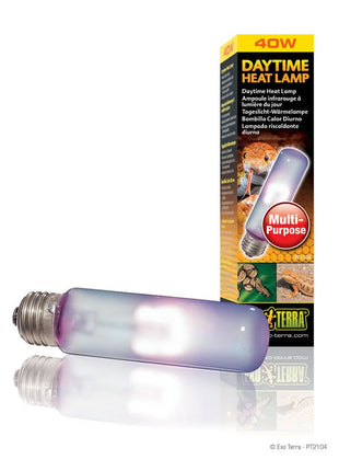 Daytime Heat Lamp