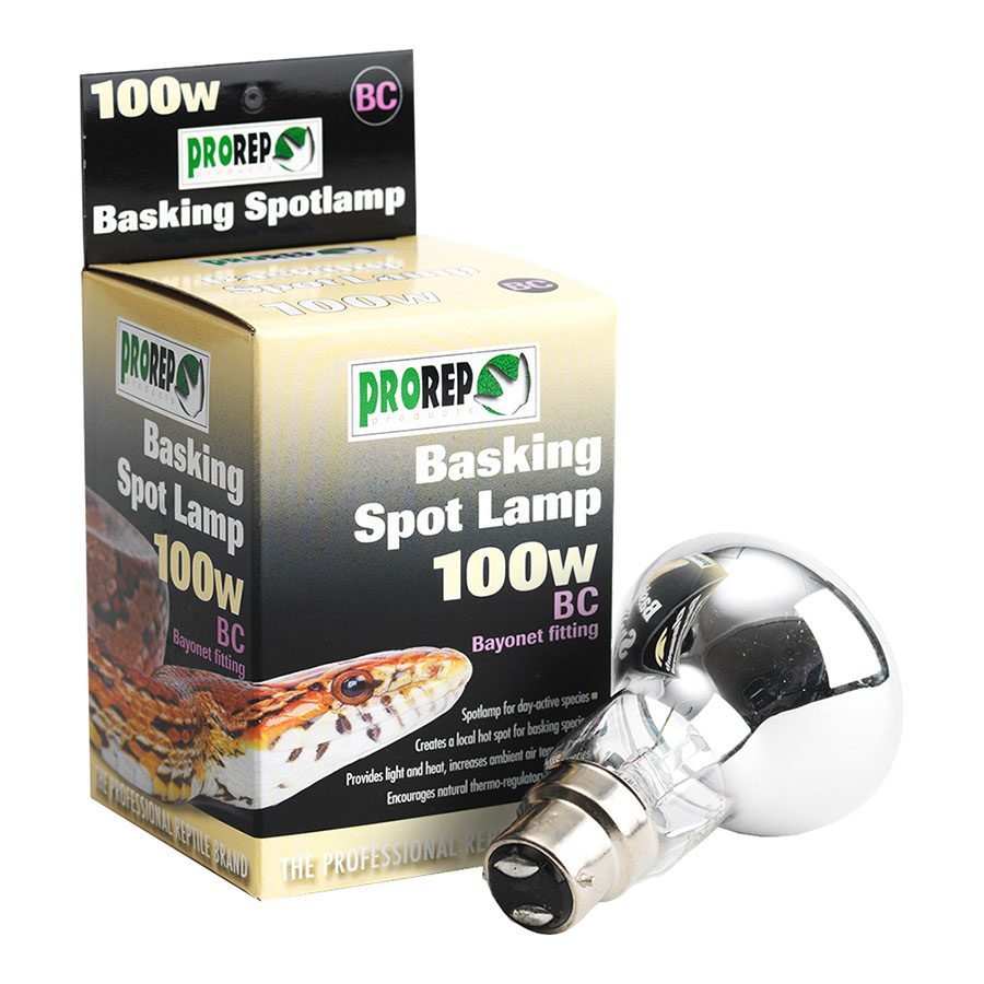 Basking Spot Lamp, BC Fitting