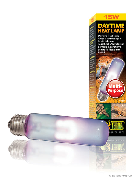 Daytime Heat Lamp