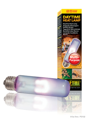 Daytime Heat Lamp