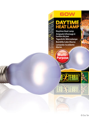 Daytime Heat Lamp
