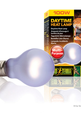 Daytime Heat Lamp