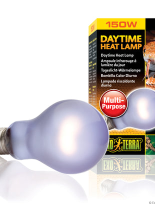 Daytime Heat Lamp