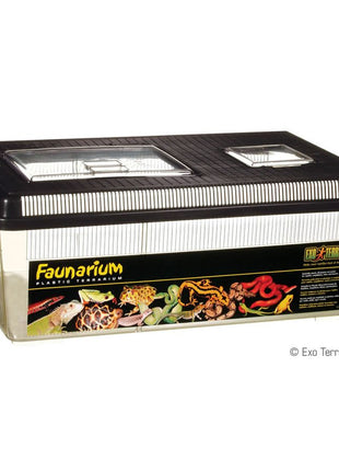 Flat Faunarium