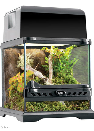 Terrarium Nano